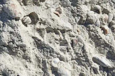 Illustration limestone - Image 1