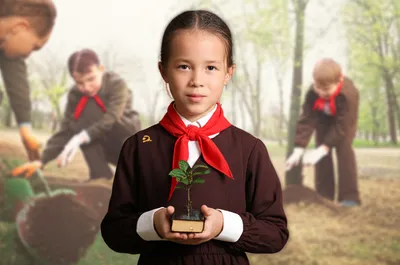 Illustration pioneer - Image 1