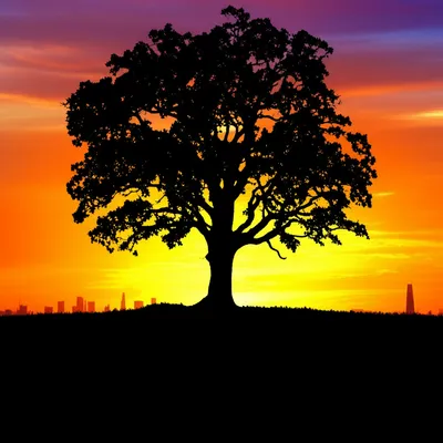 Illustration remain - Image 1