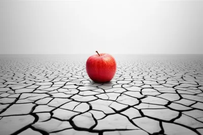 Illustration singularities