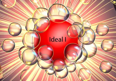 Illustration radicle - Image 1