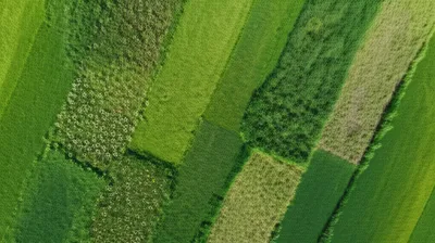 Illustration patches - Image 1