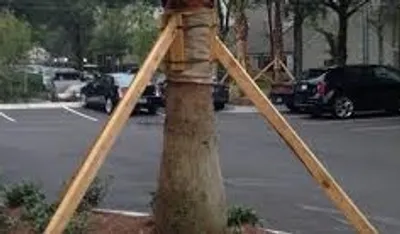 Illustration bracing - Image 2