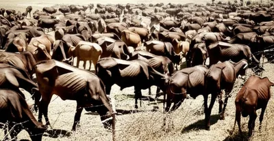 Illustration surcharge - Image 1