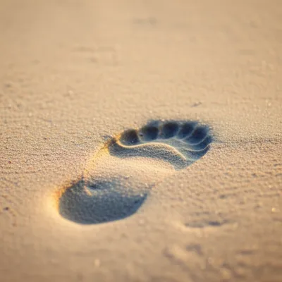 Illustration impressions