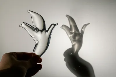 Illustration distort - Image 1