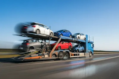 Illustration float - Image 1