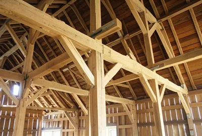 Illustration timbers - Image 1