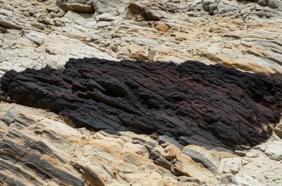 Illustration sheet - Image 1