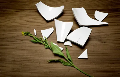 Illustration breakage - Image 1