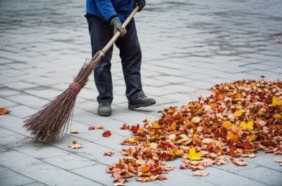 Illustration swept - Image 1