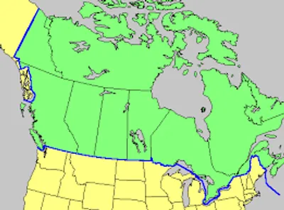 Illustration frontier - Image 2