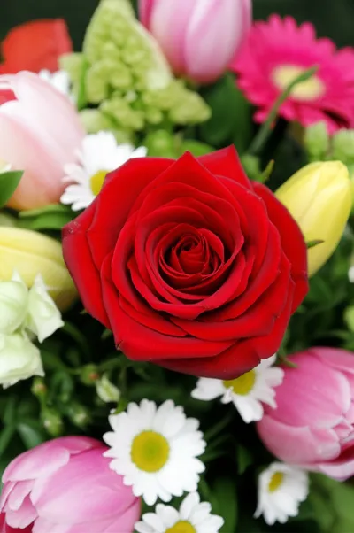 Illustration distinguishing - Image 2