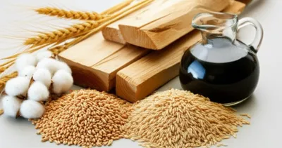 Illustration staples - Image 1