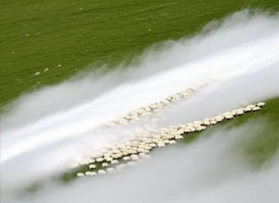 Illustration fleeces - Image 1