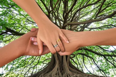 Illustration poly - Image 1