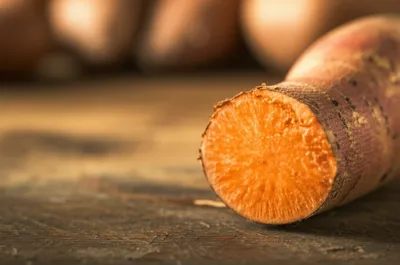 Illustration yam - Image 1