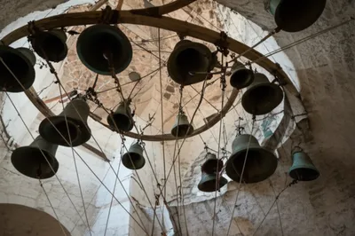 Illustration hunts - Image 1