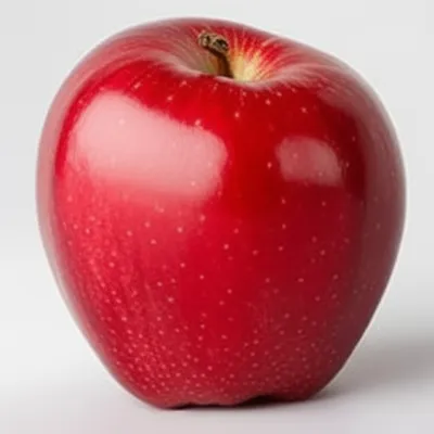 Illustration choice - Image 1