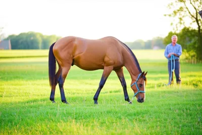 Illustration geld - Image 1