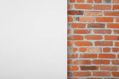 Illustration gibbed - Image 1