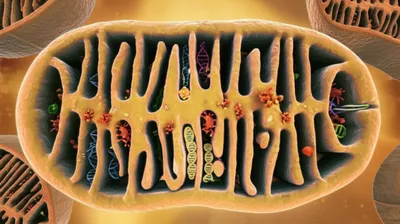 Illustration matrixes - Image 1