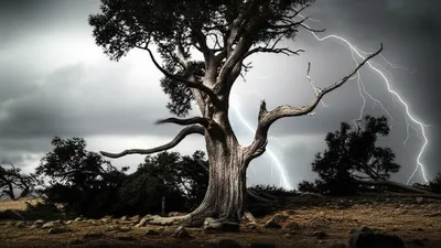 Illustration stands - Image 1