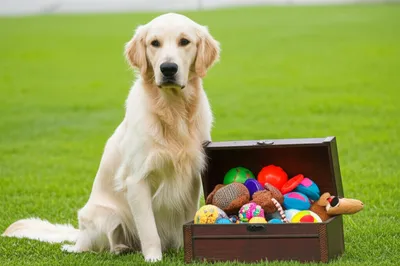 Illustration keeps - Image 1