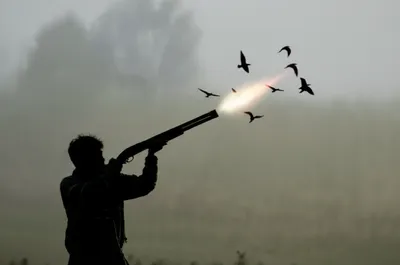 Illustration discharge - Image 1