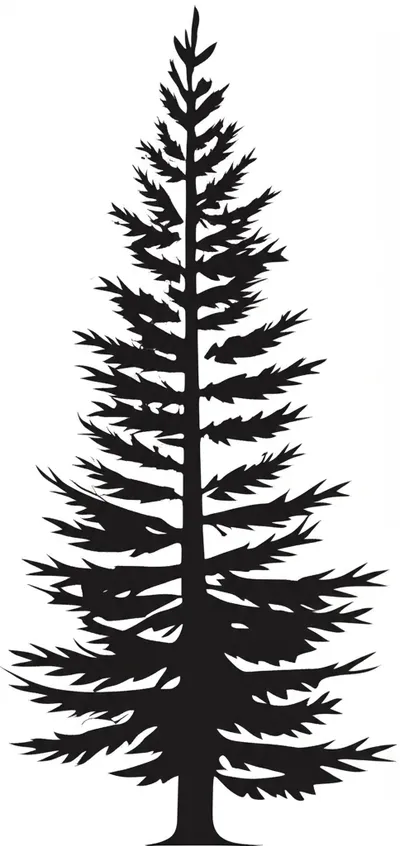 Illustration pine - Image 1