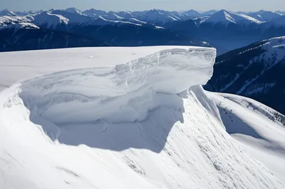 Illustration cornish - Image 1