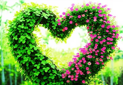 Illustration relates - Image 1