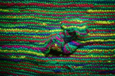 Illustration burls - Image 1