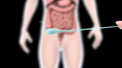 Illustration urinates - Image 1