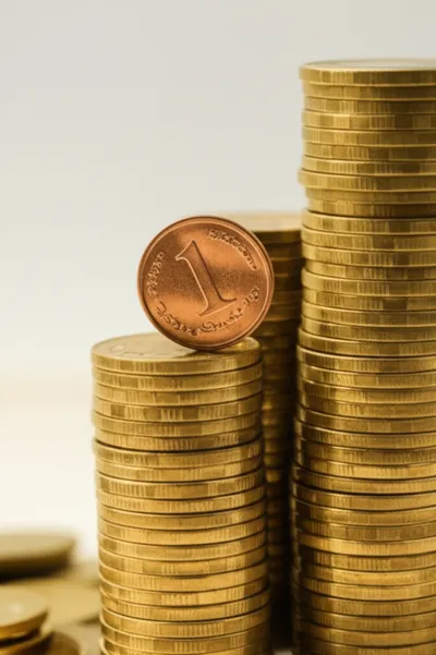 Illustration fen - Image 1