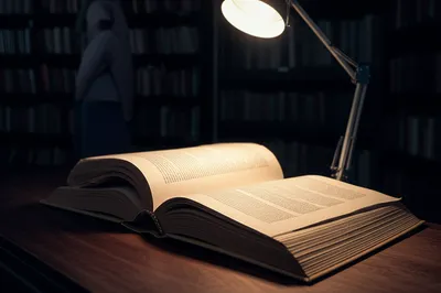 Illustration take - Image 1