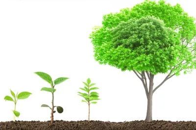 Illustration makes - Image 1