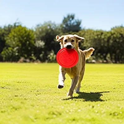 Illustration retrieved - Image 1