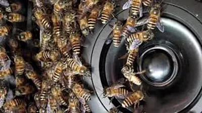 Illustration crawl - Image 2