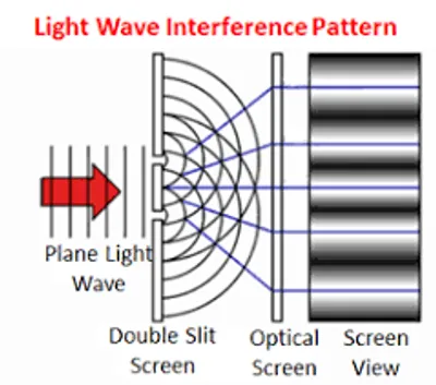 Illustration fringe - Image 2