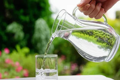 Illustration temperate - Image 1