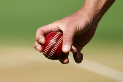 Illustration seam - Image 1