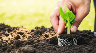 Illustration credence - Image 1