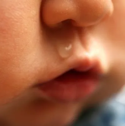 Illustration mucus - Image 2