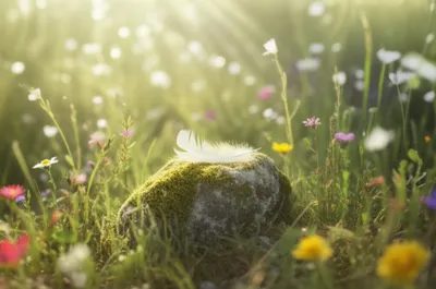 Illustration rests - Image 1