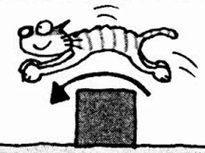 Illustration over - Image 4