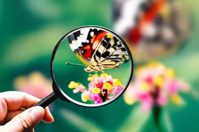 Illustration focussing - Image 1