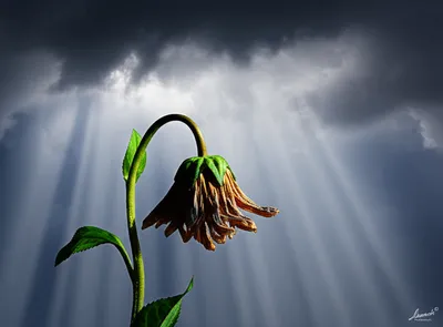 Illustration rallying - Image 1