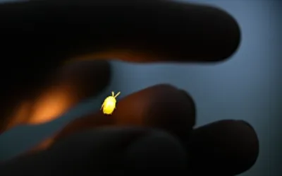 Illustration stalled - Image 1