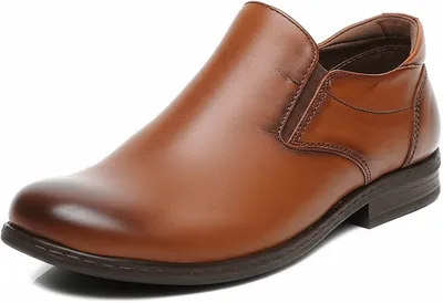 Illustration buck - Image 1